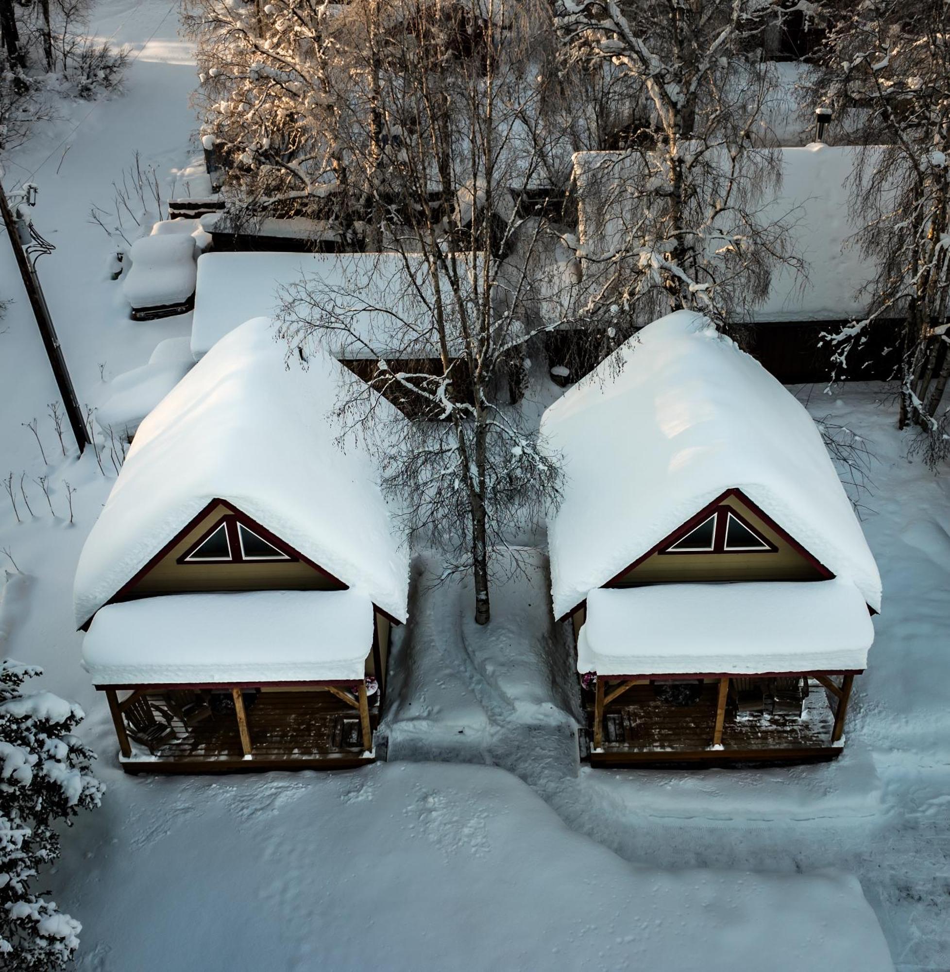 Downtown Talkeetna Cabin! Chulitna Cabin Exterior photo